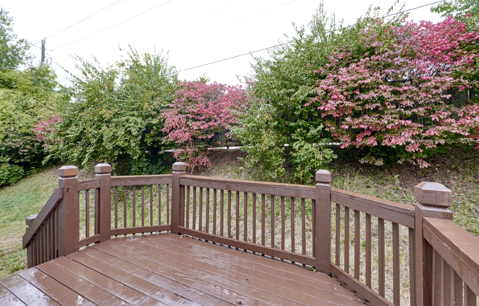 12041 Victorian Village Ct property image